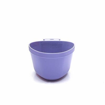 Blueberry klik voor vergroting