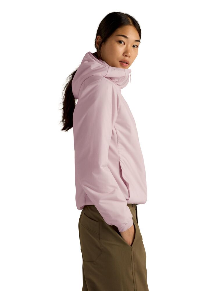 Alpine Rose klik voor vergroting