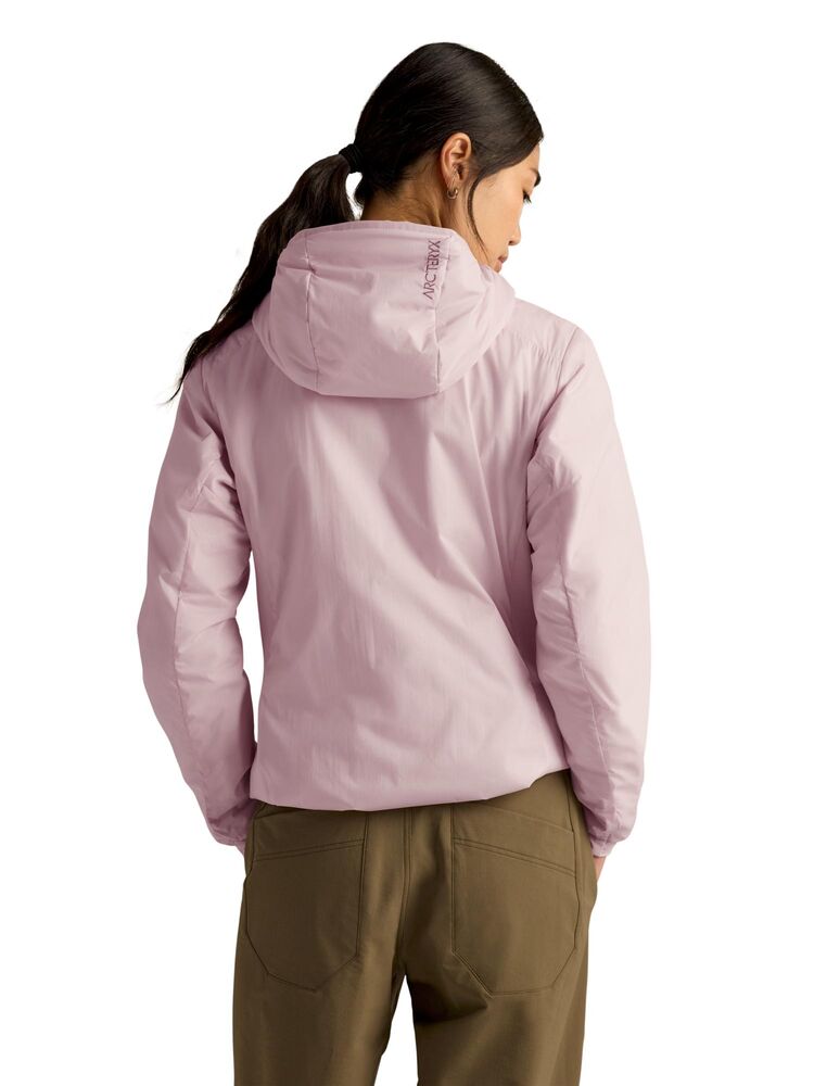Alpine Rose klik voor vergroting