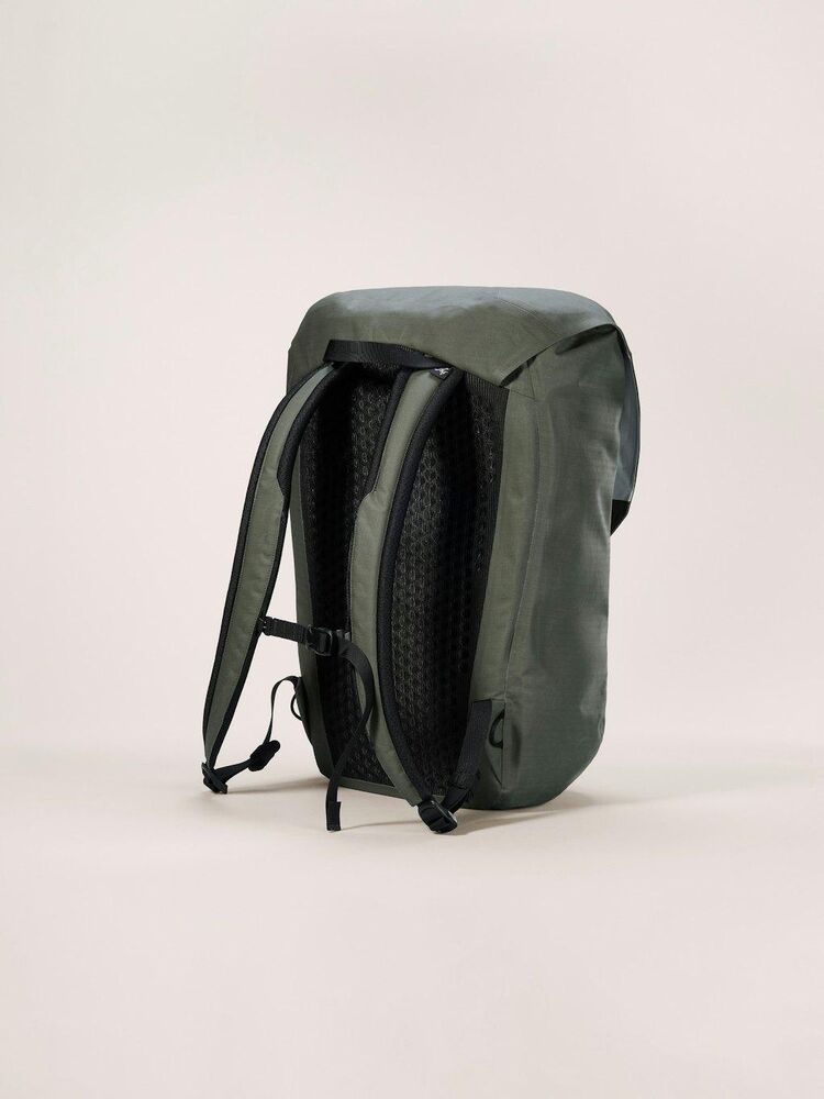 Dark Forage klik voor vergroting