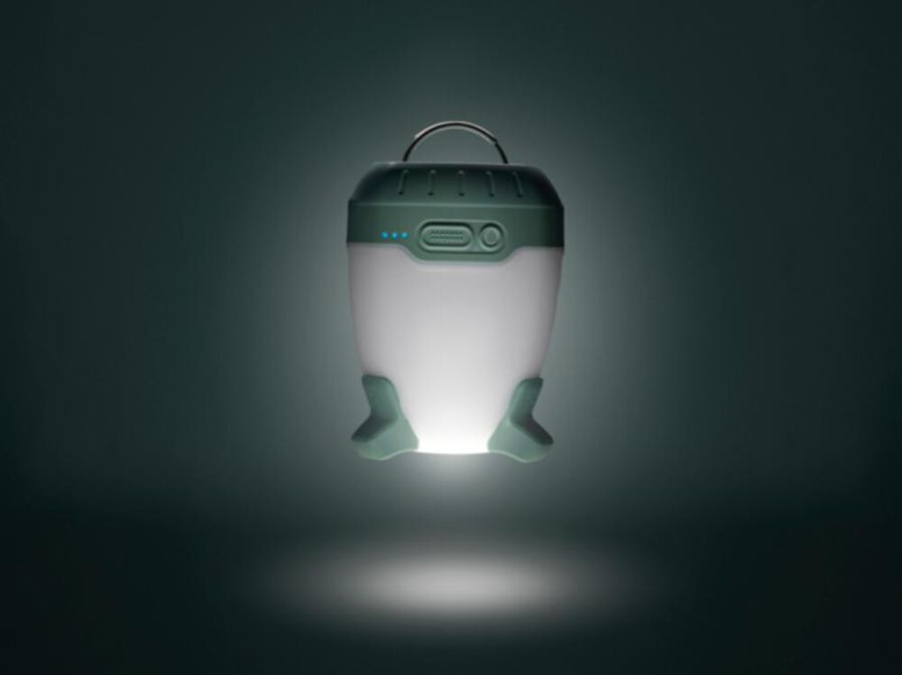 Desert Sage klik voor vergroting