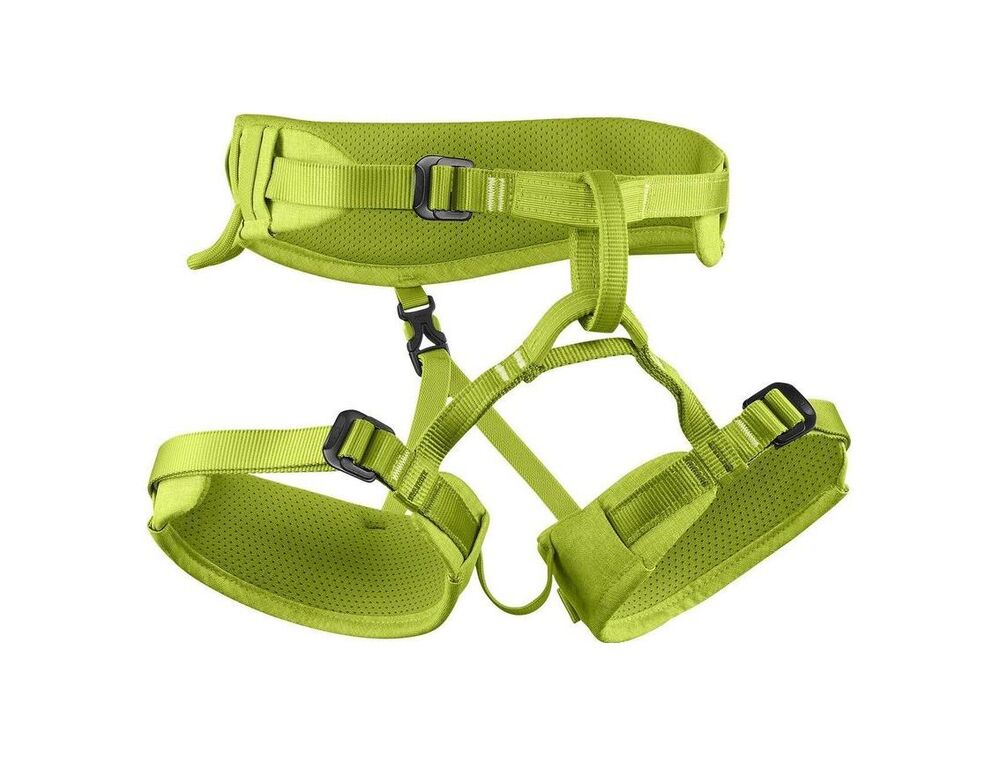 Oasis klik voor vergroting