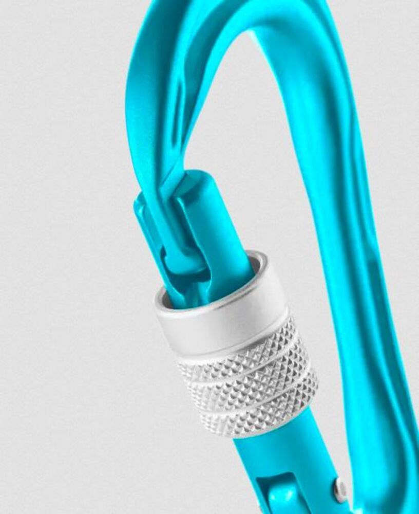 Icemint klik voor vergroting