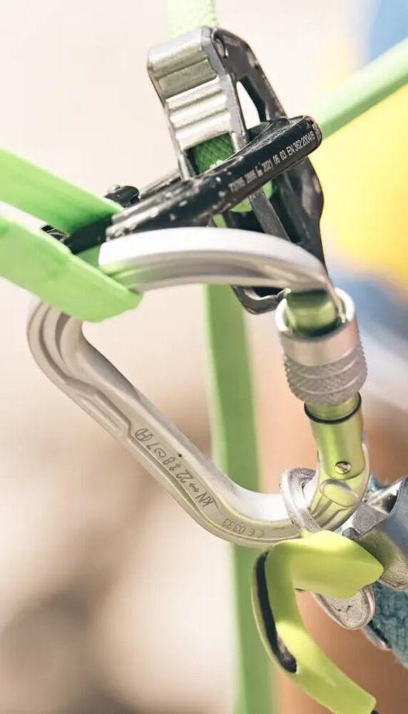 Silver klik voor vergroting