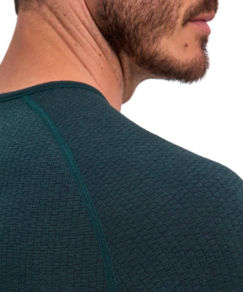 Holly klik voor vergroting