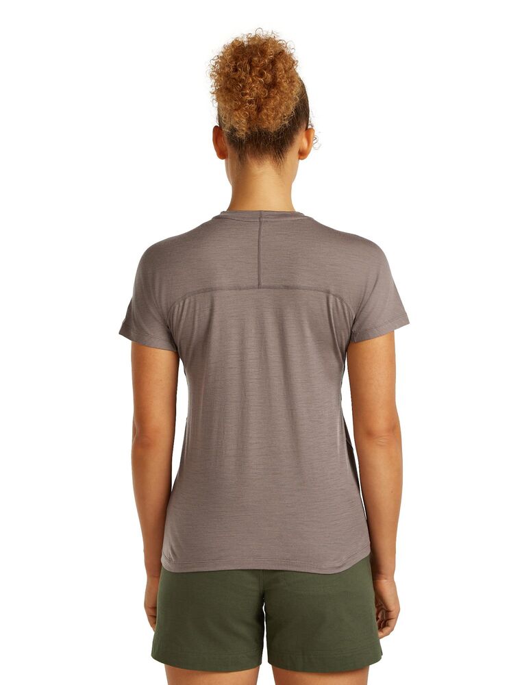 Porcini klik voor vergroting