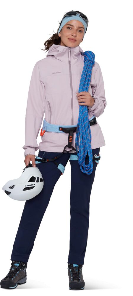 Alpine Calamint klik voor vergroting