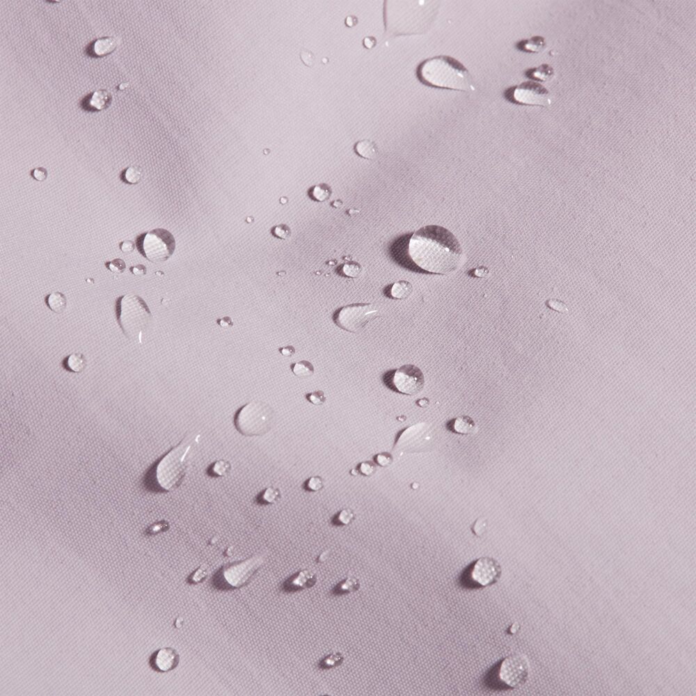 Alpine Calamint klik voor vergroting