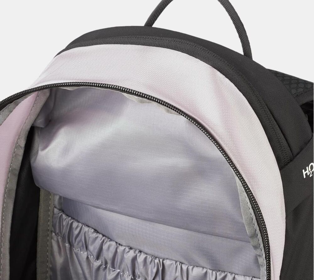Alpine Calamint-black klik voor vergroting