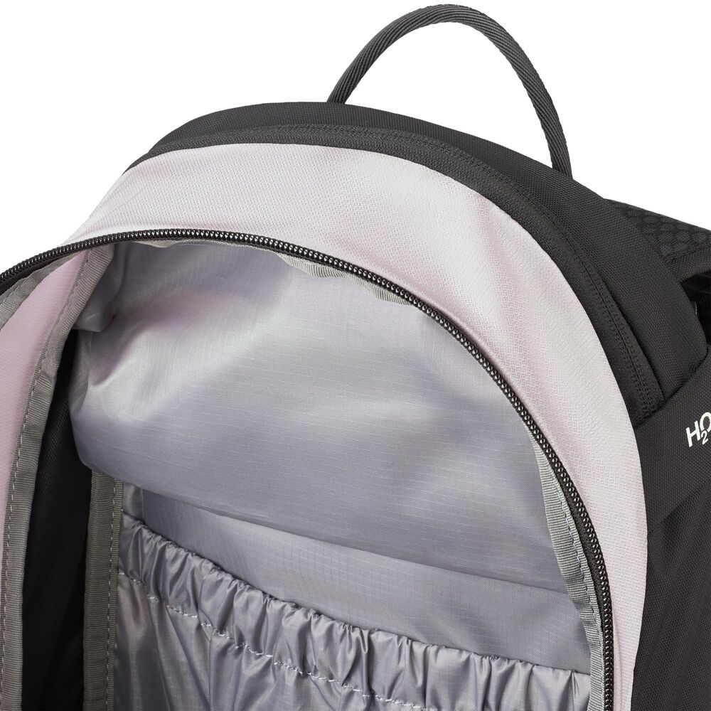 Alpine Calamint-black klik voor vergroting