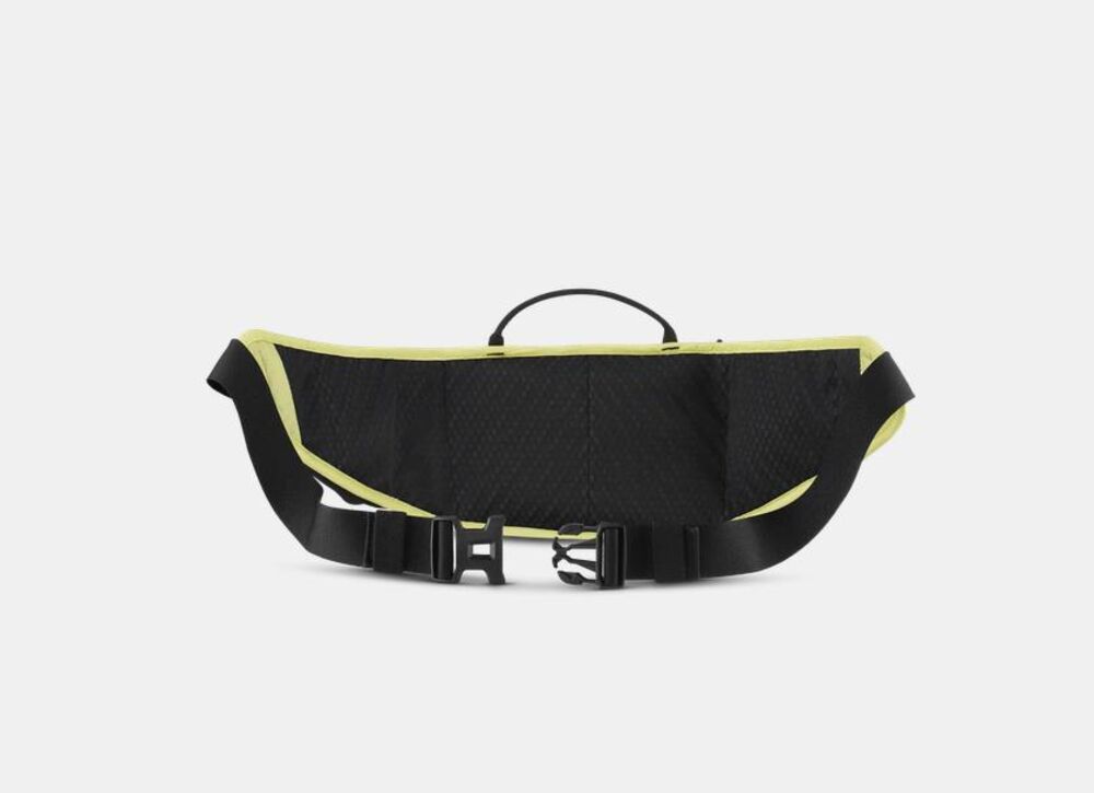 Holunder klik voor vergroting