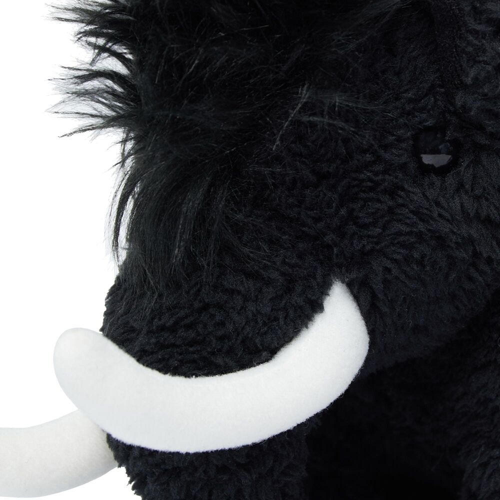 Black klik voor vergroting