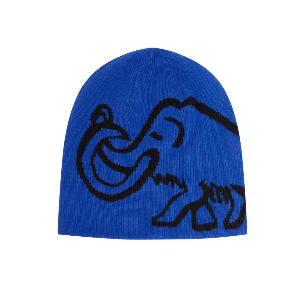 Eiger Blue - Black klik voor vergroting