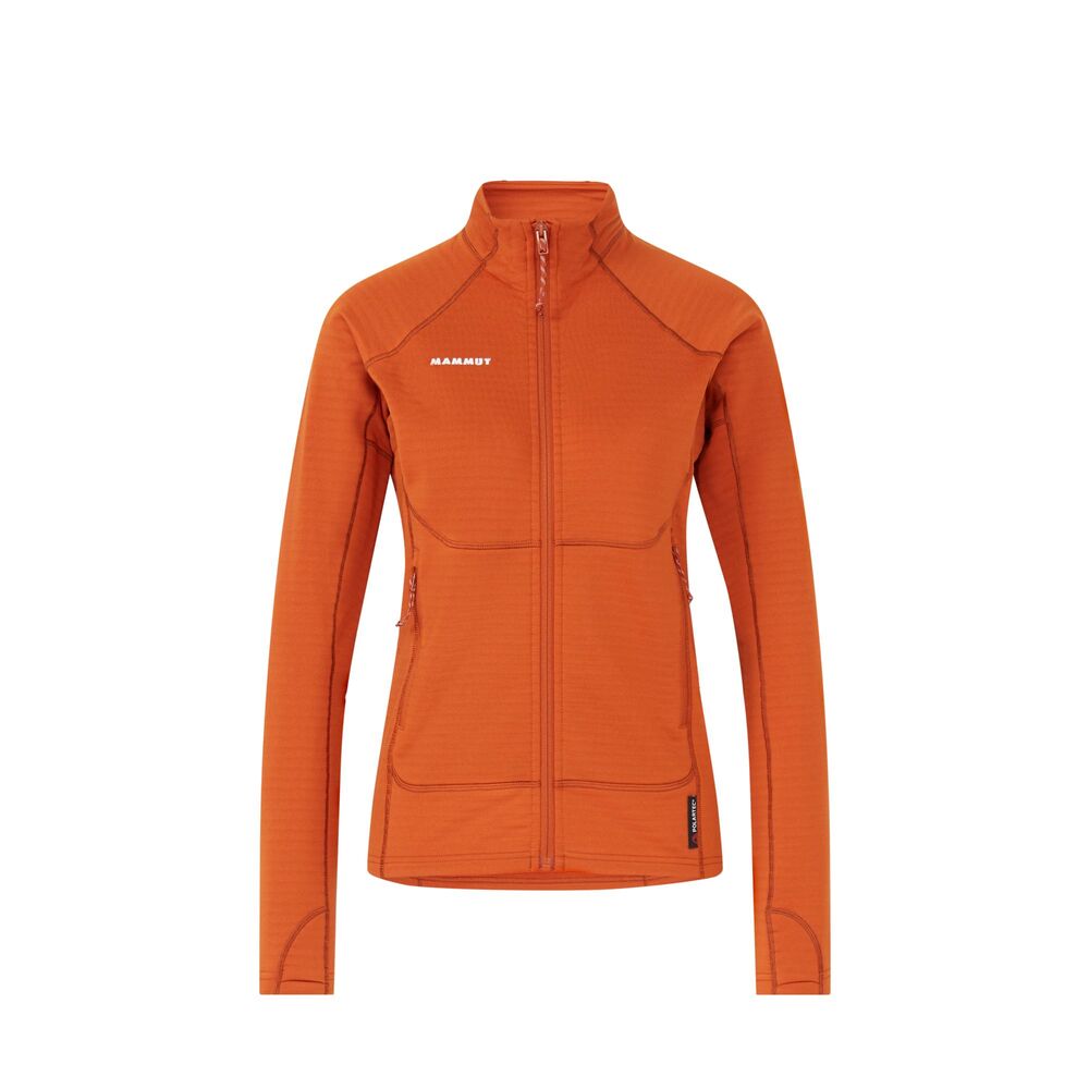 Autumn Larice klik voor vergroting