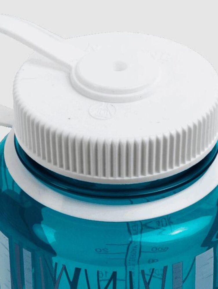 Landscape Trout klik voor vergroting