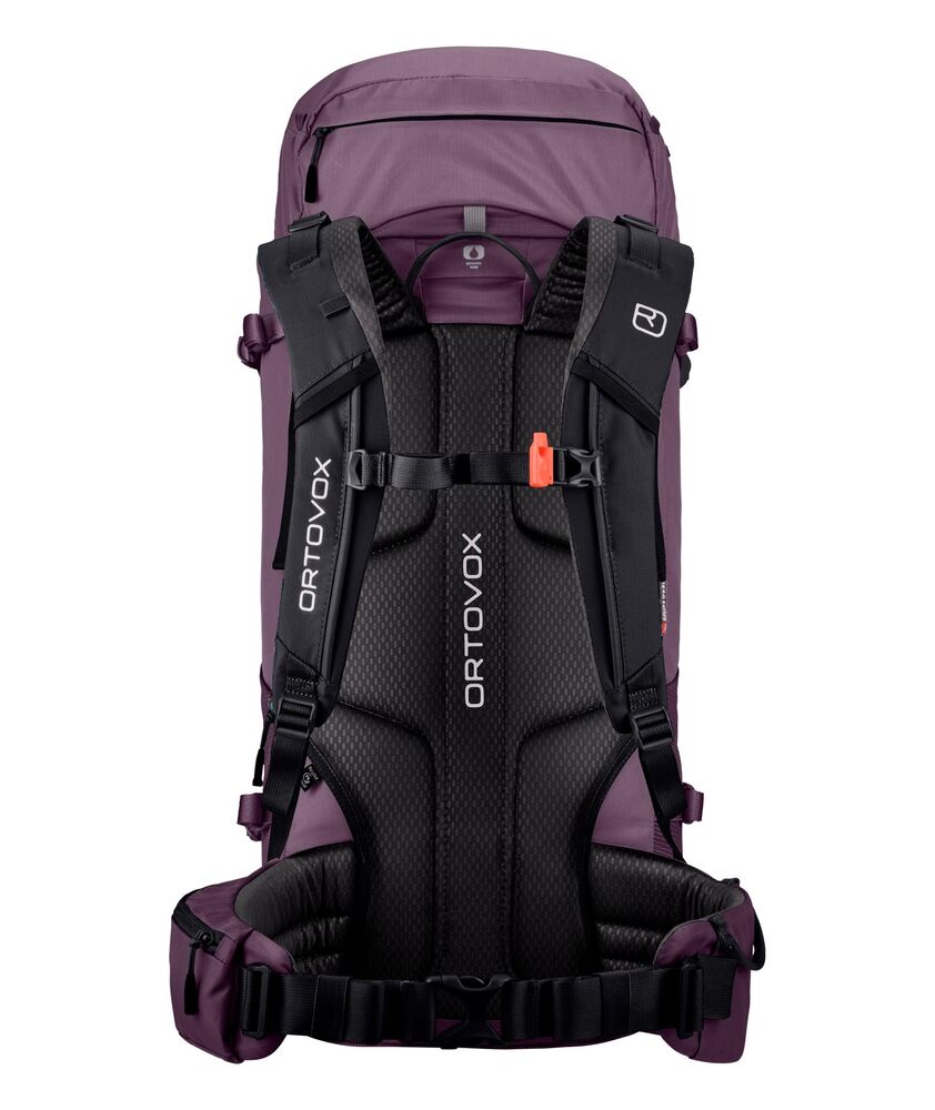 Wild-berry klik voor vergroting