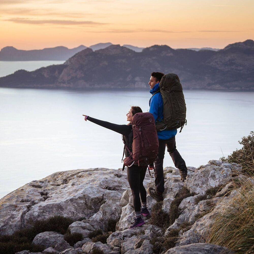 Elderberry Purple klik voor vergroting