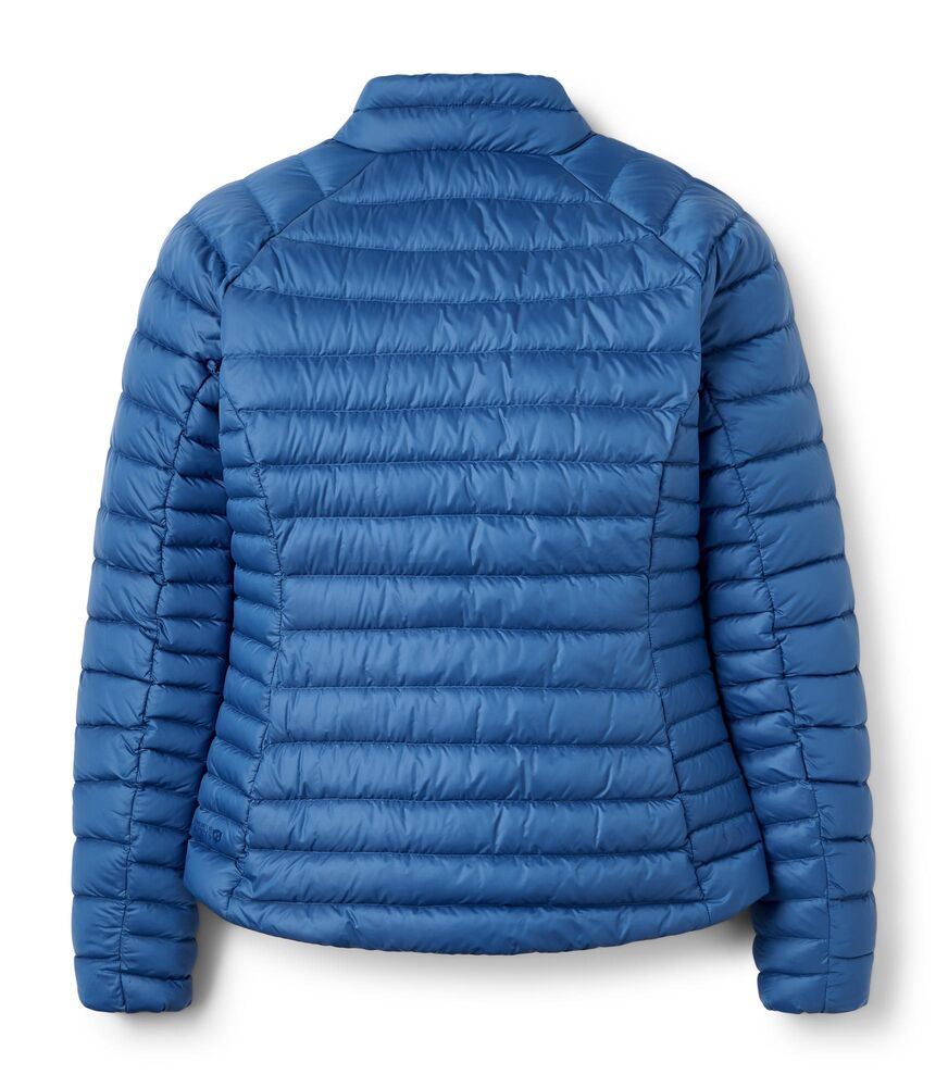 Dark Bluebird klik voor vergroting