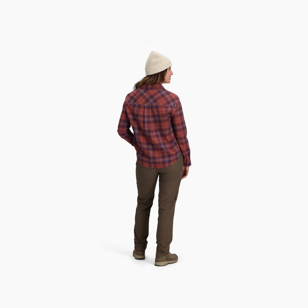 Wild Rhubarb Dipsea Pld klik voor vergroting