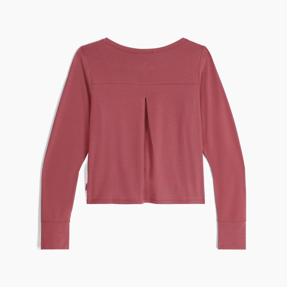 Wild Rhubarb klik voor vergroting