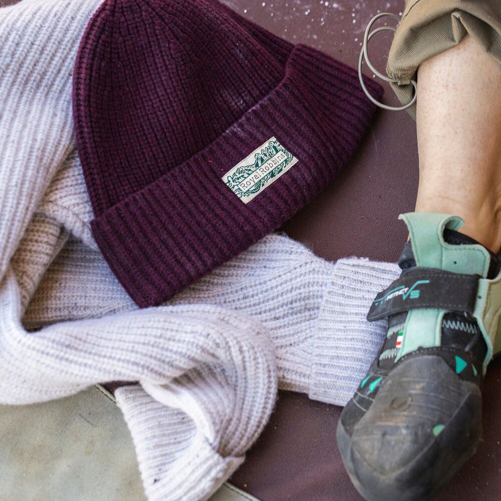 Loganberry Htr klik voor vergroting