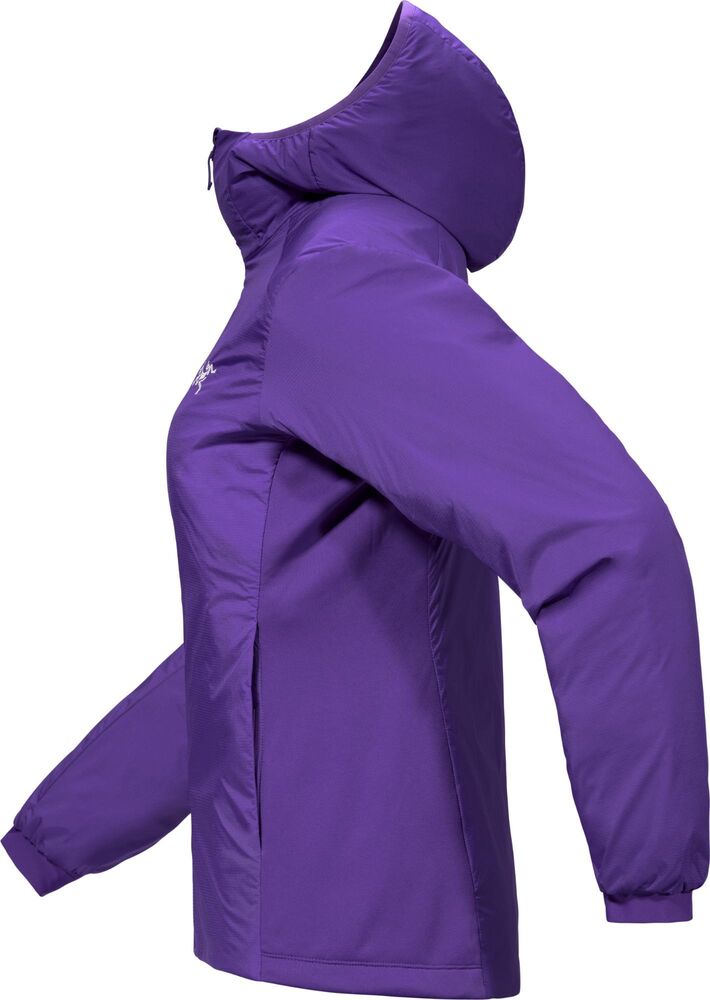 Azalea klik voor vergroting