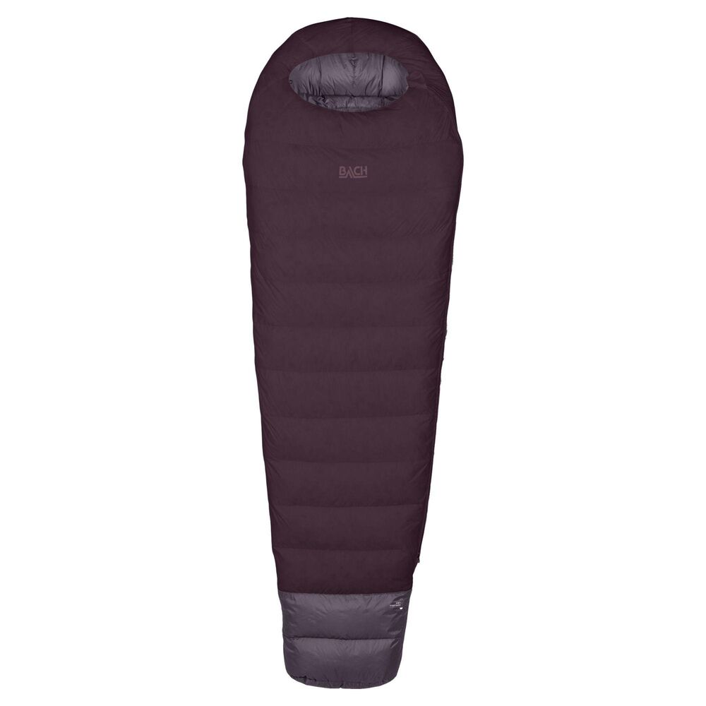 Dark Purple klik voor vergroting