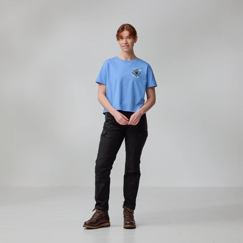 Ultramarine klik voor vergroting