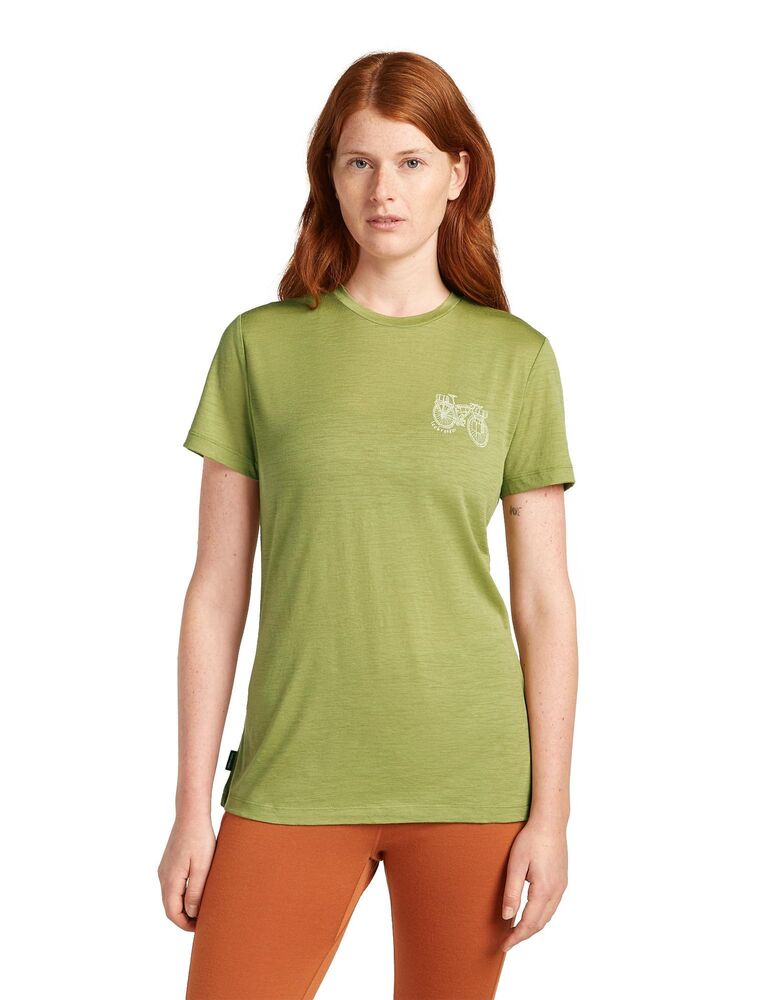 Olive klik voor vergroting