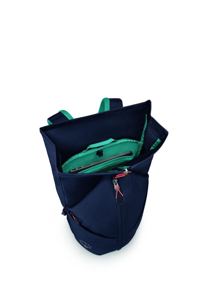 Cetacean Blue klik voor vergroting
