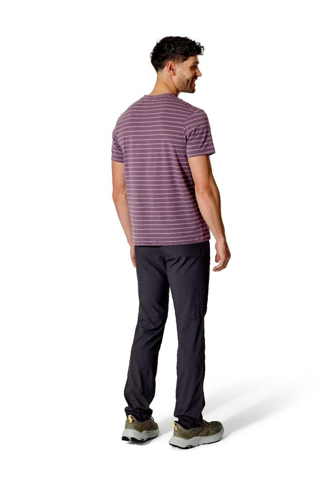 Iris Stripe klik voor vergroting