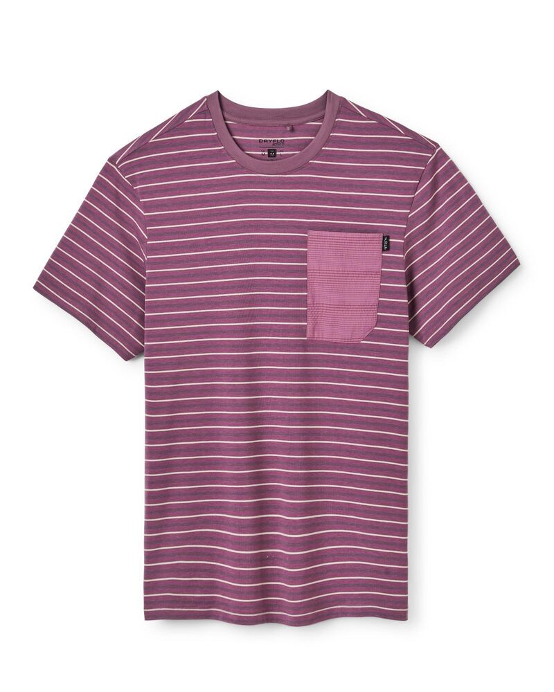 Iris Stripe klik voor vergroting