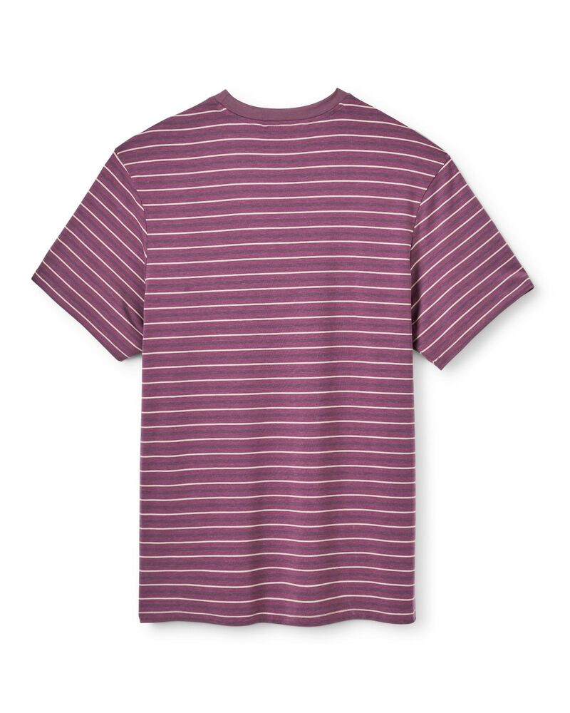 Iris Stripe klik voor vergroting