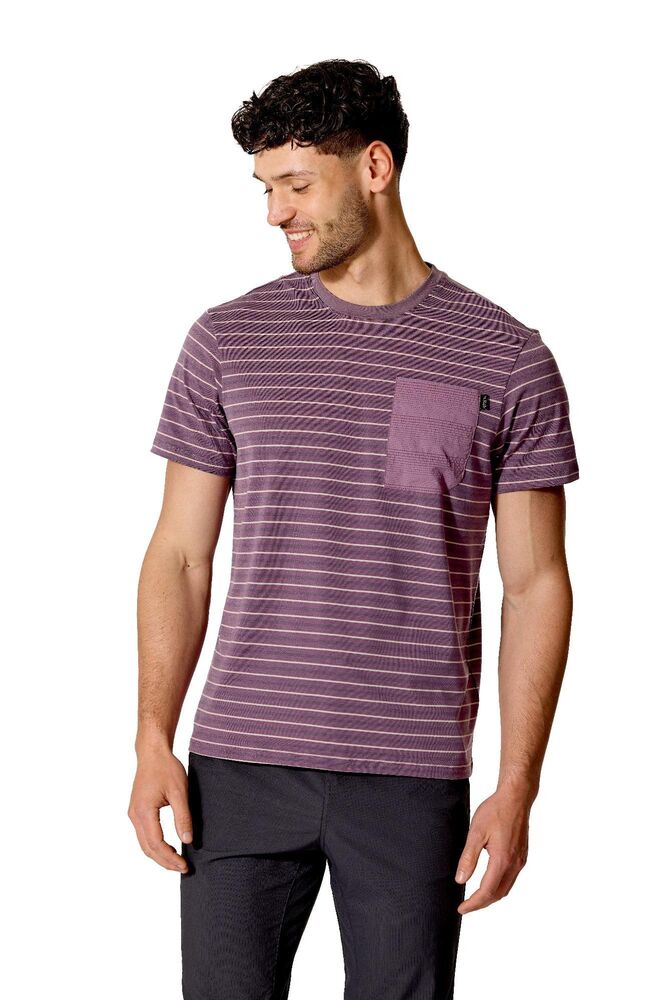Iris Stripe klik voor vergroting