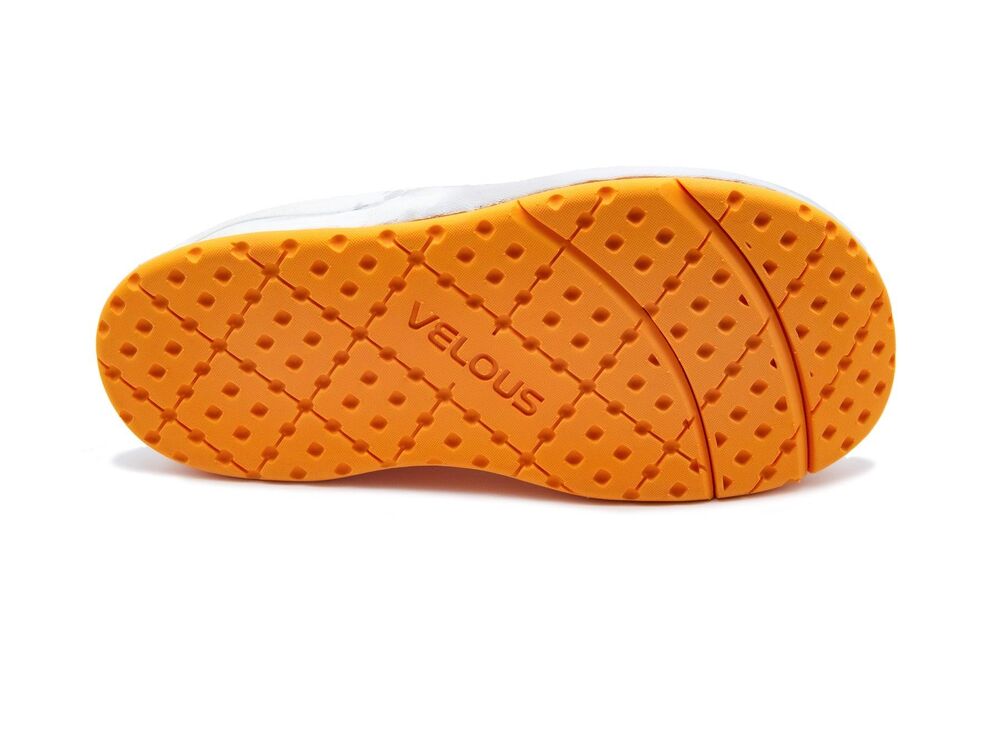 Grey/orange klik voor vergroting