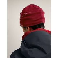 Arcteryx Bird Head Toque