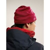 Arcteryx Bird Head Toque