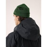 Arcteryx Bird Head Toque