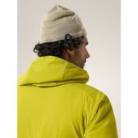 Arcteryx Bird Head Toque