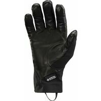 Arcteryx Venta AR Glove