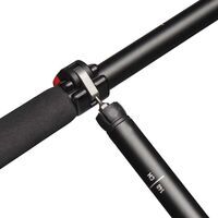 Black Diamond Pursuit FLZ Trekking Poles