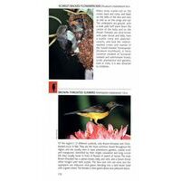 Bloomsbury Birds Of Java, Sumatra & Bali