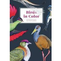 Boeken Overig 50 Postcards - Birds In Color