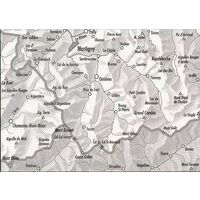 Bundesamt - Swisstopo Topografische Kaart 5003 Mont Blanc - Grand Combin