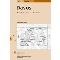 Bundesamt - Swisstopo Topografische Kaart 1197 Davos