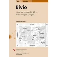 Bundesamt - Swisstopo Topografische Kaart 1256 Bivio