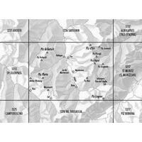 Bundesamt - Swisstopo Topografische Kaart 1256 Bivio