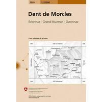 Bundesamt - Swisstopo Topografische Kaart 1305 Dent De Morcles
