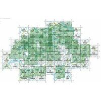 Bundesamt - Swisstopo Topografische Kaart 256 Disentis - Muster