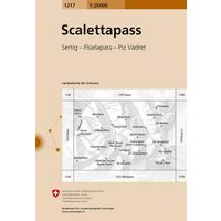 Bundesamt - Swisstopo Topografische Kaart 1217 Scalettapas